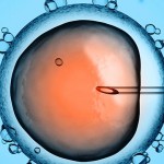 UCN ofrece diplomado en discernimiento bioético
