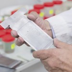 Once proyectos Fondecyt adjudicables fortalecerán la investigación en la UCN