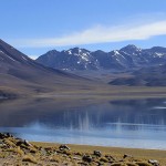 Investigadores descubren alta diversidad de zooplancton en lagunas altiplánicas
