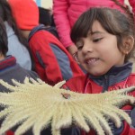 La UCN invita a Feria del Mar en el marco del Congreso Internacional de Áreas Marinas Protegidas