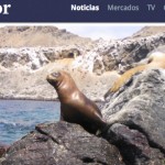 Complejo portuario en Coquimbo amenaza convertir santuarios naturales en nueva zona de sacrificio ambiental