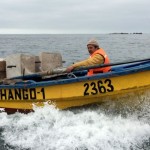 Pertinencia y desafíos del programa de acuicultura en áreas de manejo