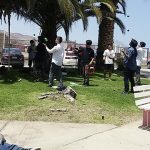 Estudiantes celebran Semana de la Carrera de Psicología