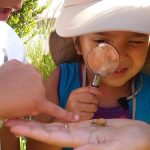 Preparan nueva edición de programa científico de verano para niños
