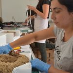 Investigadores realizan conservación preventiva de gorros atacameños prehispánicos