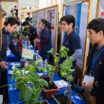 Más de 70 proyectos de escolares de la región, presentó “Huerto de Ideas” en la UCN