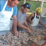 Académicos de UCN viajan a Costa Rica para enseñar técnicas de acuicultura