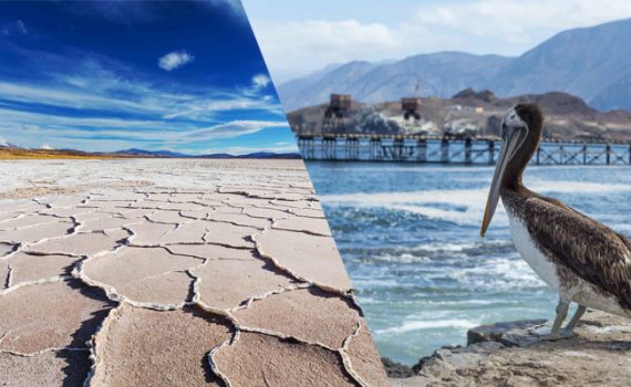 UCN liderará desarrollo de laboratorios naturales en el desierto y el océano de Chile