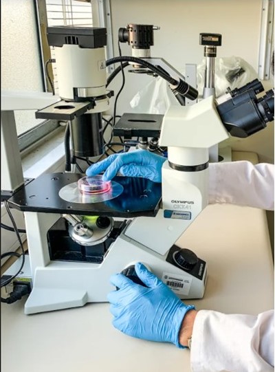 Equipo multidisciplinario de investigadores e investigadoras UCN analizan el efecto antiinflamatorio del Omega-3