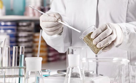 UCN será sede del XLIV Congreso Anual de la Sociedad de Farmacología de Chile